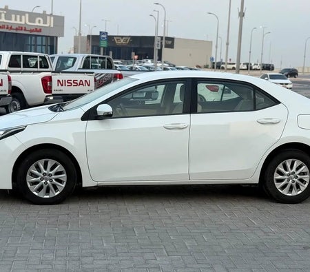 White Toyota Corolla GLI 2019