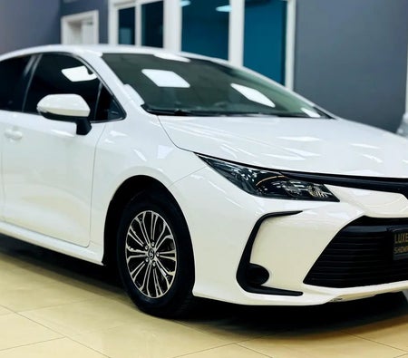 White Toyota Corolla XLI 2022