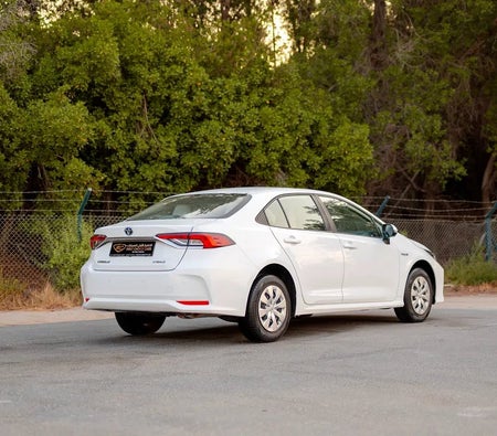 تويوتا Corolla XLI 2024, photo 3 of 4