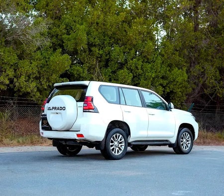 Toyota Prado EXR 2019, photo 4 of 4
