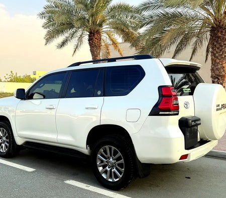 Blanc Toyota Prado EXR 2019