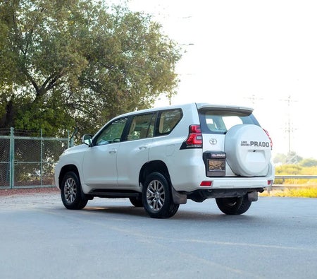 Weiß Toyota Prado EXR 2019