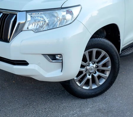 Weiß Toyota Prado EXR 2019