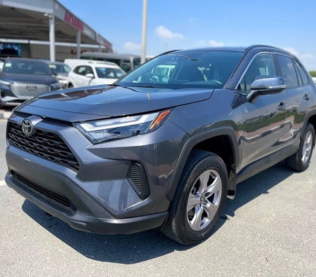 Gris Toyota RAV4 XLE 2025 Gris Toyota RAV4 XLE 2025