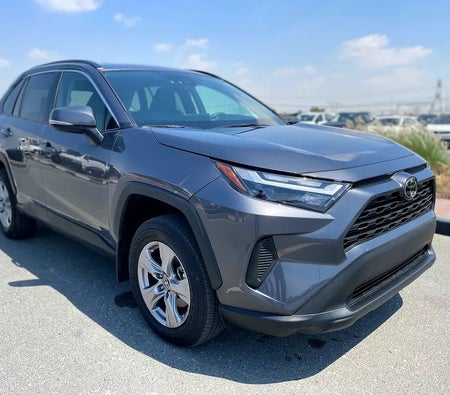 Gris Toyota RAV4 XLE 2025 Gris Toyota RAV4 XLE 2025
