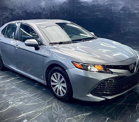 Toyota Camry Hybrid  2020, photo 4 of 4