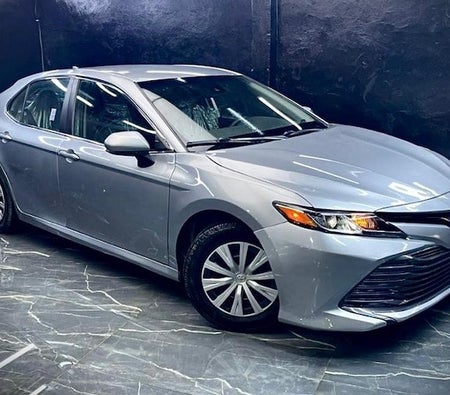 Toyota Camry Hybrid  2020, photo 2 of 4