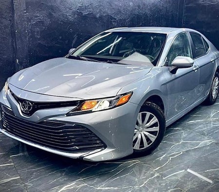 Toyota Camry Hybrid  2020, photo 3 of 4
