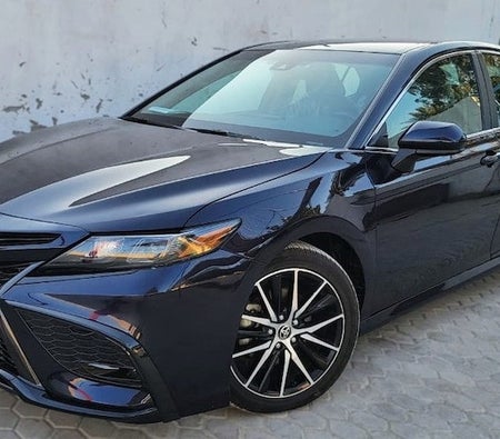 Toyota Camry LE 2021, photo 3 of 4