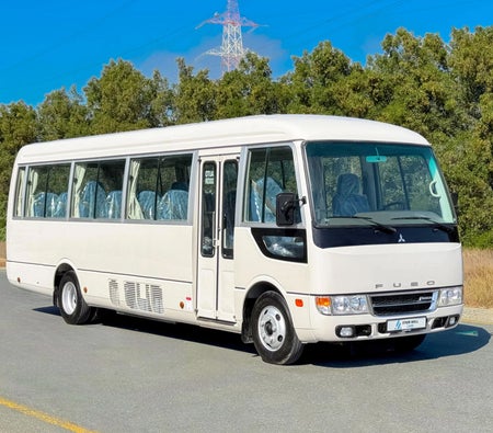 White Toyota Coaster 2024