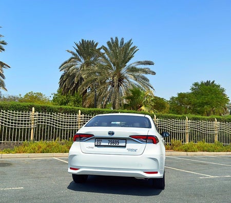 Toyota Corolla Hybrid 2024