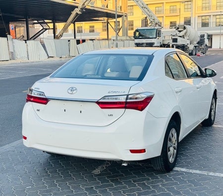 Blanc Toyota Corolla SE 2019