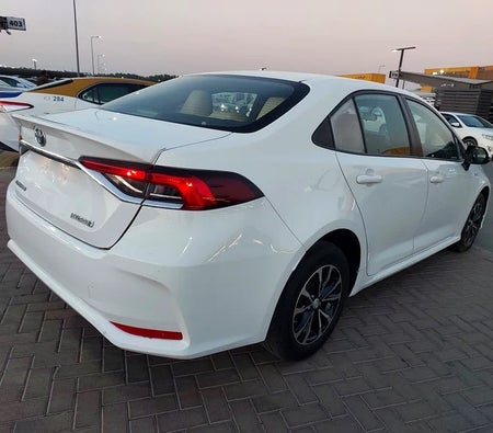 Toyota Corolla SE 2020, photo 4 of 4