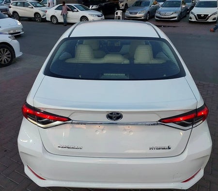 White Toyota Corolla SE 2020