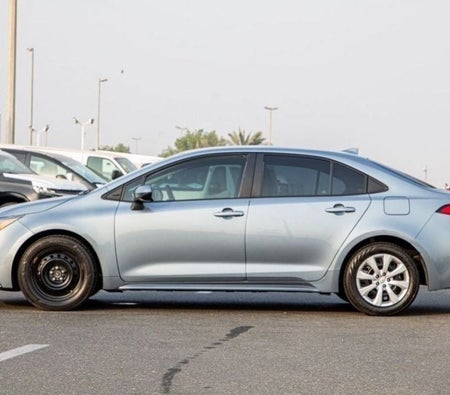 Silver Toyota Corolla 2020