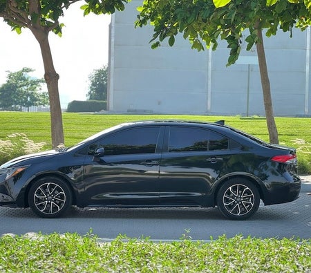 Toyota Corolla XLE 2020, photo 3 of 4