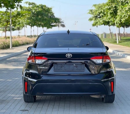 Toyota Corolla XLE 2020, photo 4 of 4