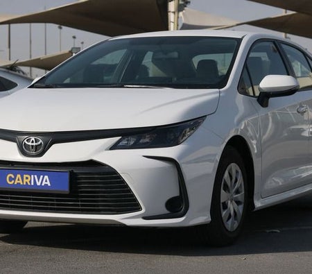 White Toyota Corolla XLI 2024