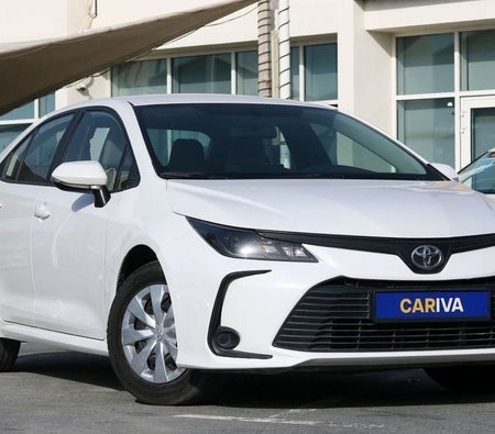 White Toyota Corolla 2024