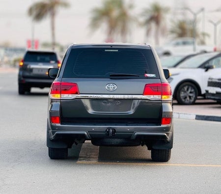 Gris Toyota Land Cruiser 2019