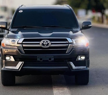 Gris Toyota Land Cruiser 2019