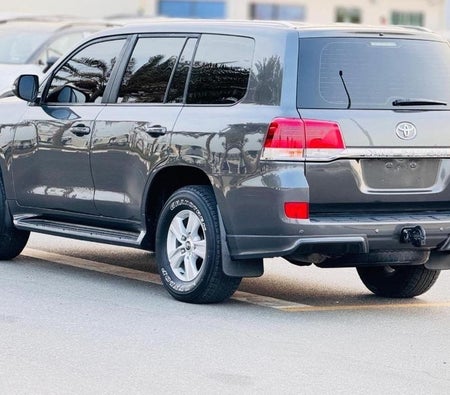 Gris Toyota Land Cruiser 2019
