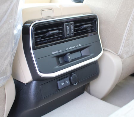 Bianca Toyota Land Cruiser 2025