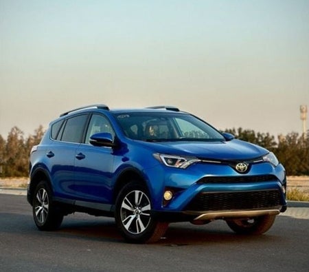 Toyota RAV4 2018, photo 3 of 4