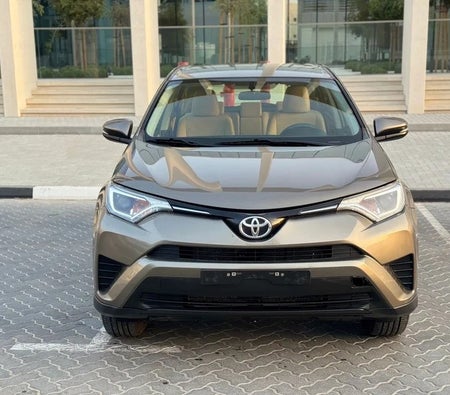 Brown Toyota RAV4 EX 2017