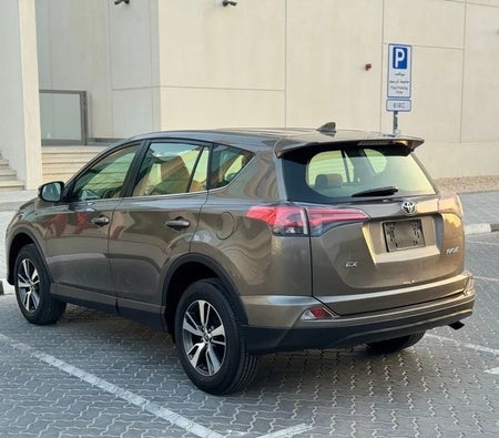 Toyota RAV4 EX 2017, photo 2 of 4