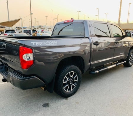 Toyota Tundra 2020, photo 4 of 4