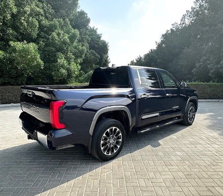 Toyota Tundra Limited 2023, photo 4 of 4