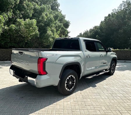 Toyota Tundra SR5 2024, photo 4 of 4