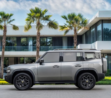 gris Jetour T2 Luxury 2025 gris Jetour T2 Luxury 2025