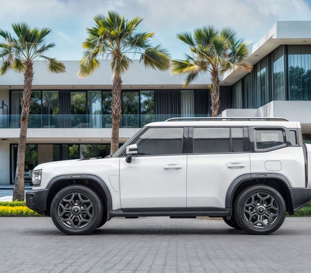 Blanco Jetour T2 Luxury 2025