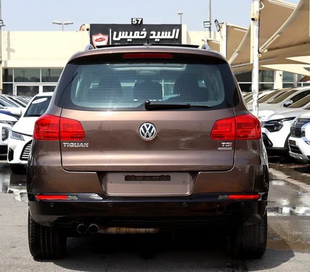 Золото Volkswagen Tiguan 2014 год