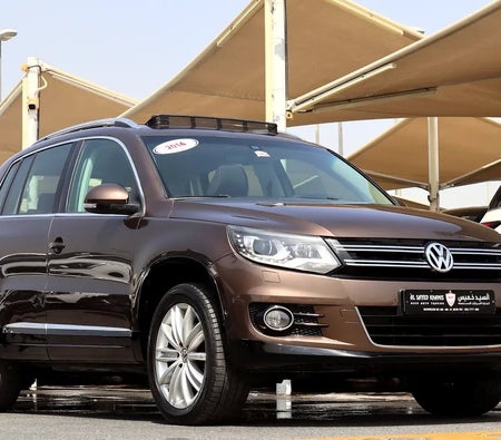 Золото Volkswagen Tiguan 2014 год