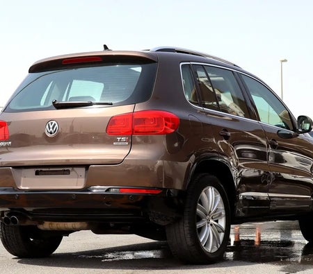 Золото Volkswagen Tiguan 2014 год