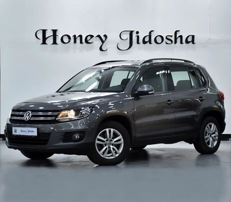 فولكس فاغن Tiguan SE 2016, photo 1 of 4