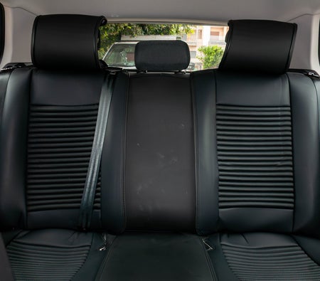 Gris Volkswagen Golf 2024