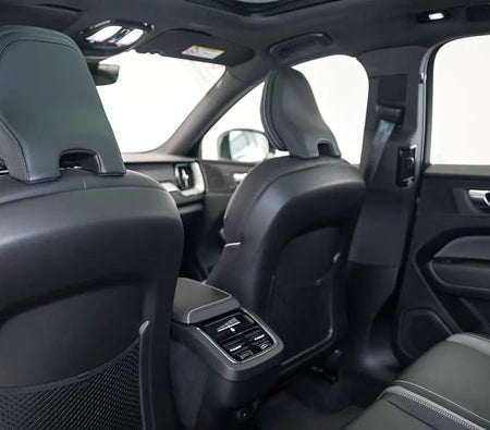 Blanc Volvo XC60 B5 Ultimate Dark 2024