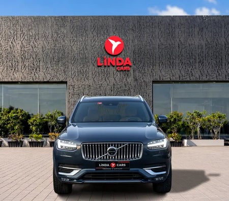 Volvo XC90 2020, photo 2 of 4