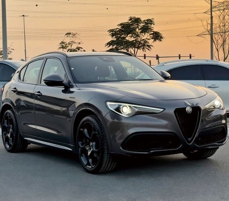 Alfa Romeo Stelvio 2022, photo 3 of 4