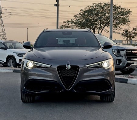 Alfa Romeo Stelvio 2022, photo 2 of 4