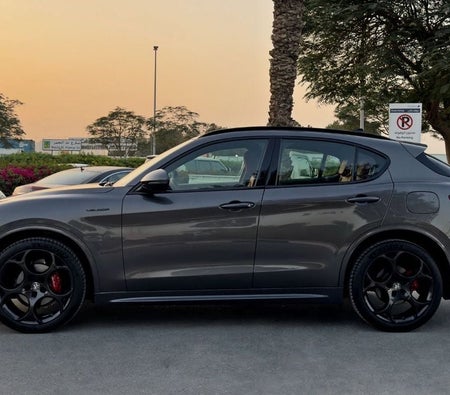 Alfa Romeo Stelvio 2022, photo 4 of 4