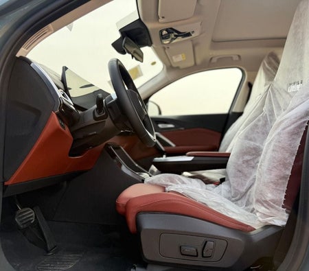 Groente BMW X2 2025