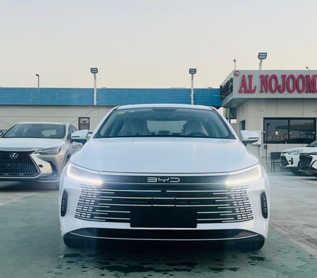 Weiß BYD Destroyer 05 2025
