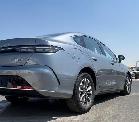 Grau BYD Destroyer 05 2026