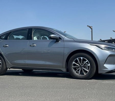 Grau BYD Destroyer 05 2026