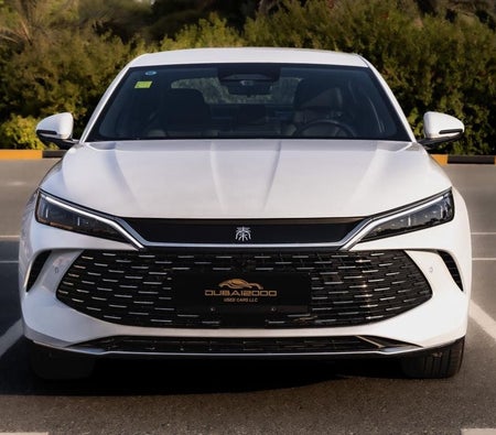 Blanc BYD Qin L DM i 2025